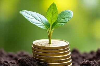Plante verte poussant hors de pièces de monnaie, symbolisant la croissance durable.